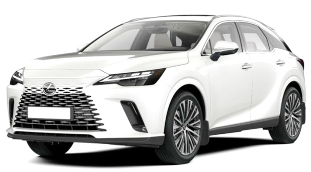 Двухслойные коврики EVA для Lexus RX V (2022->)